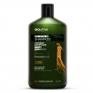 Ginseng&Nane Yağı Özlü Man Şampuan 400 ml Dökülme ve Kepek Karşıtı